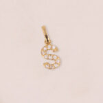 Dije De Oro 18k Letra S